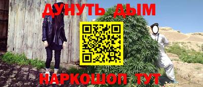 шишки Пыть-Ях