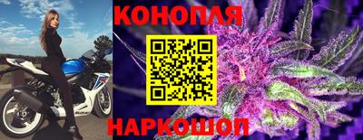 прущие грибы Пушкино