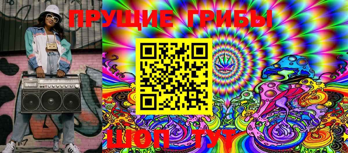 Галлюциногенные грибы Cubensis Махачкала
