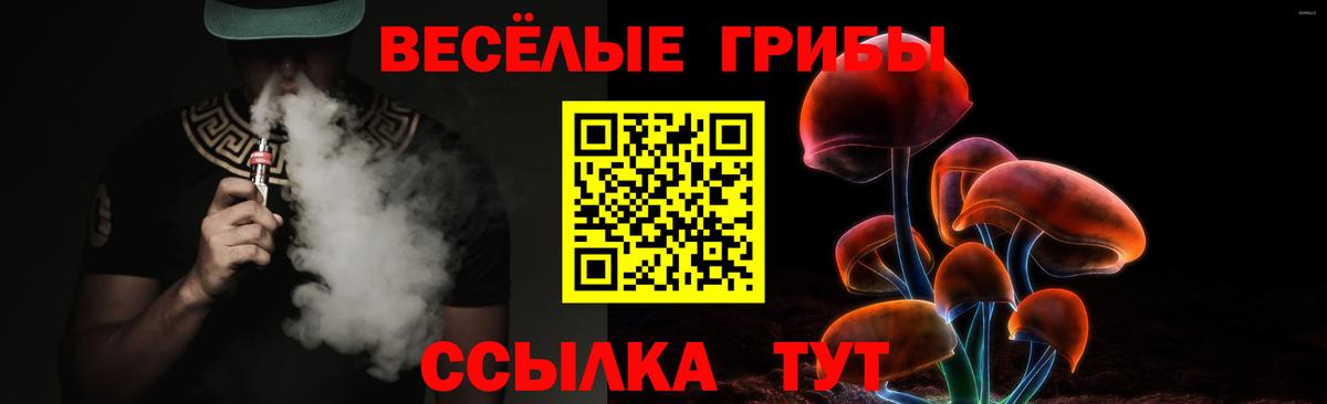 Махачкала  Псилоцибиновые грибы ЛСД  дарнет шоп  Галлюциногенные грибы MAGIC MUSHROOMS  Вход с VPN 